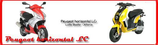 cylindre haut moteur Peugeot horizontal liquide